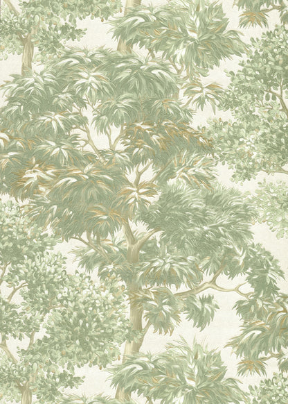Canopy Sonata