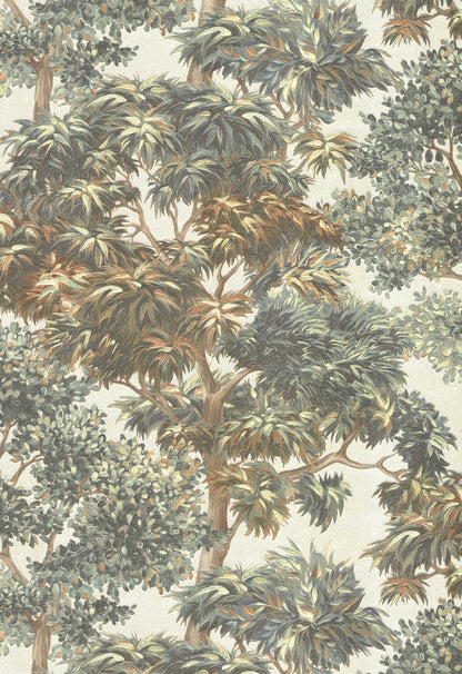Canopy Sonata
