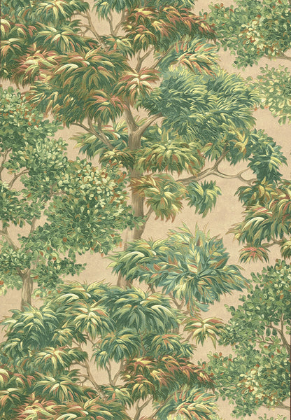 Canopy Sonata