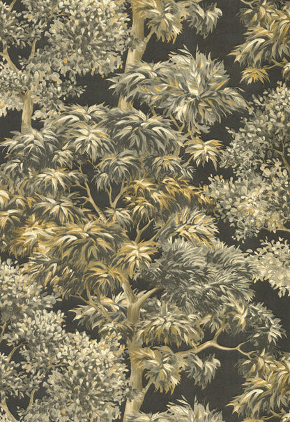 Canopy Sonata
