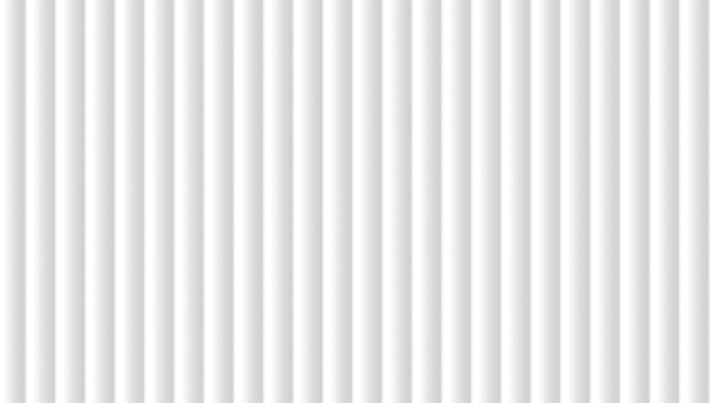 Daisy Wallpaper