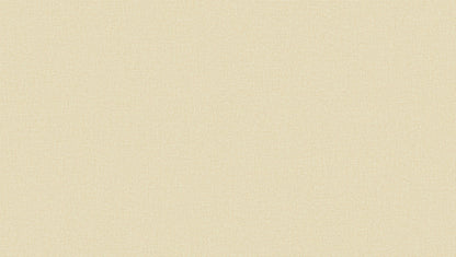 fabric texture wallpaper for entrance hall India