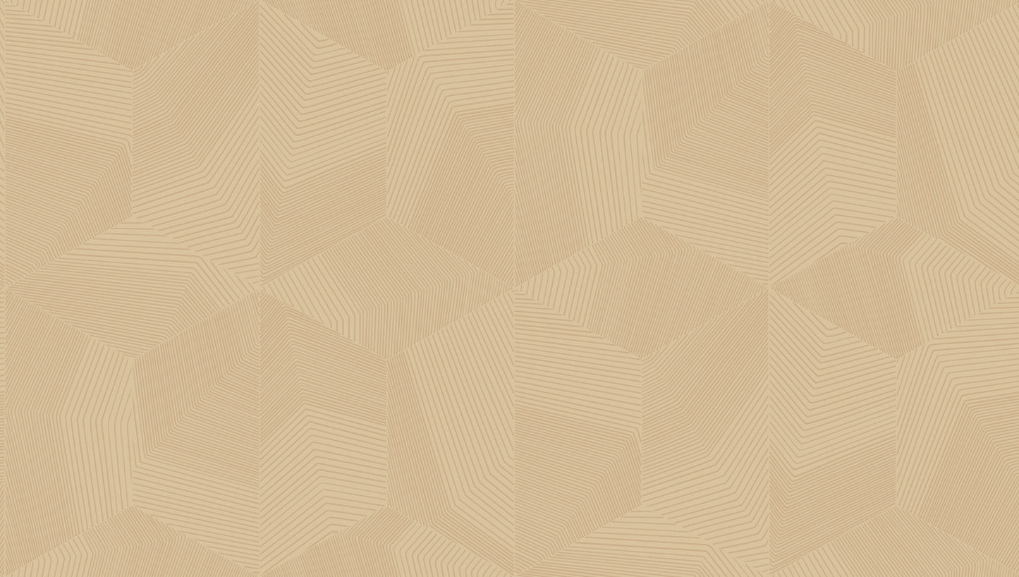 geometric wallpaper for entrance hall India