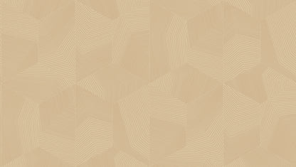 geometric wallpaper for entrance hall India