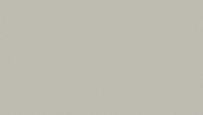 Fossil Wallpaper