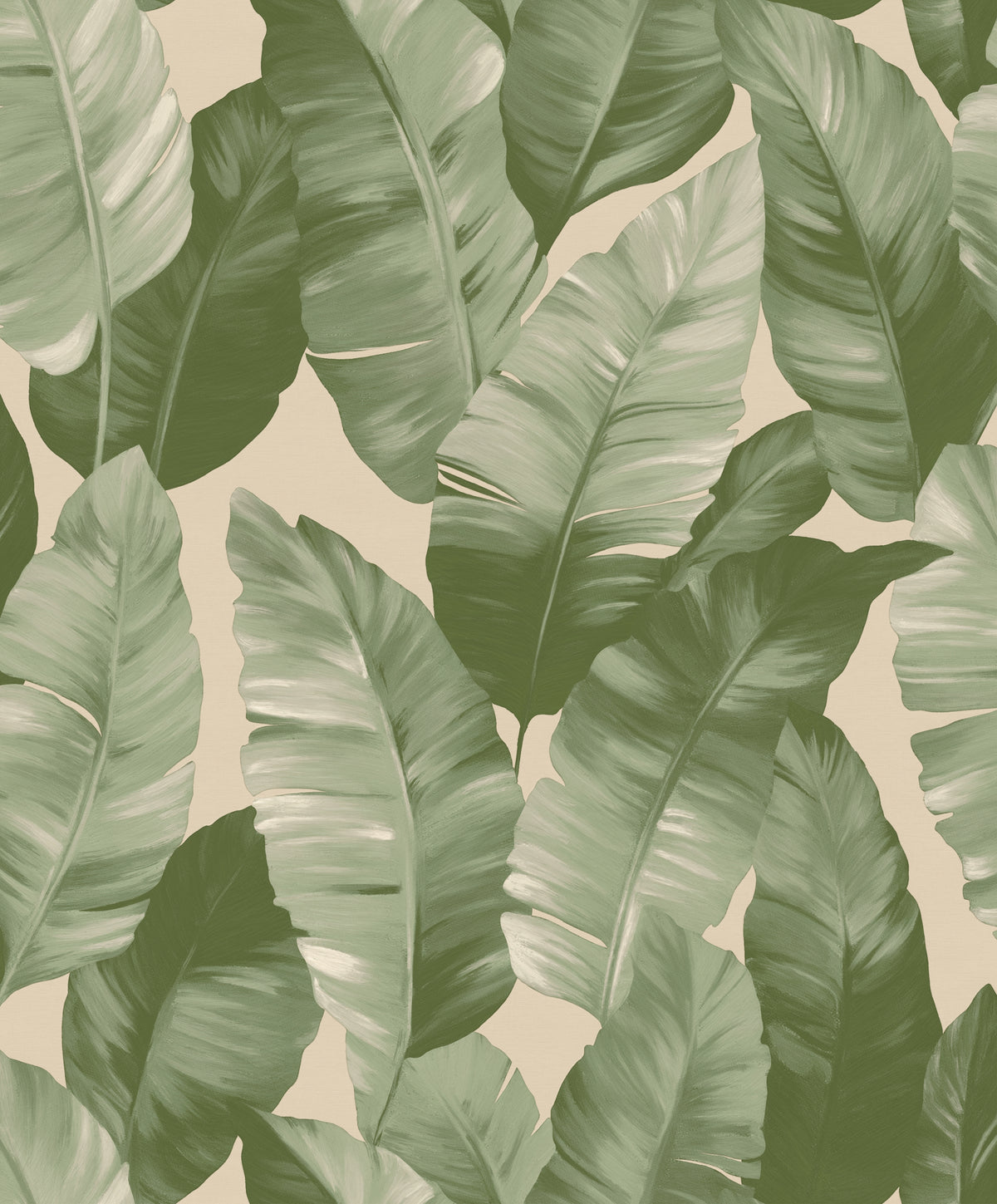 Palm Canopy Wallpaper