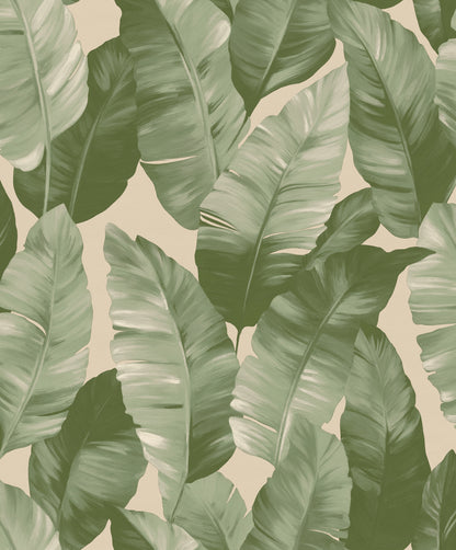 Palm Canopy Wallpaper