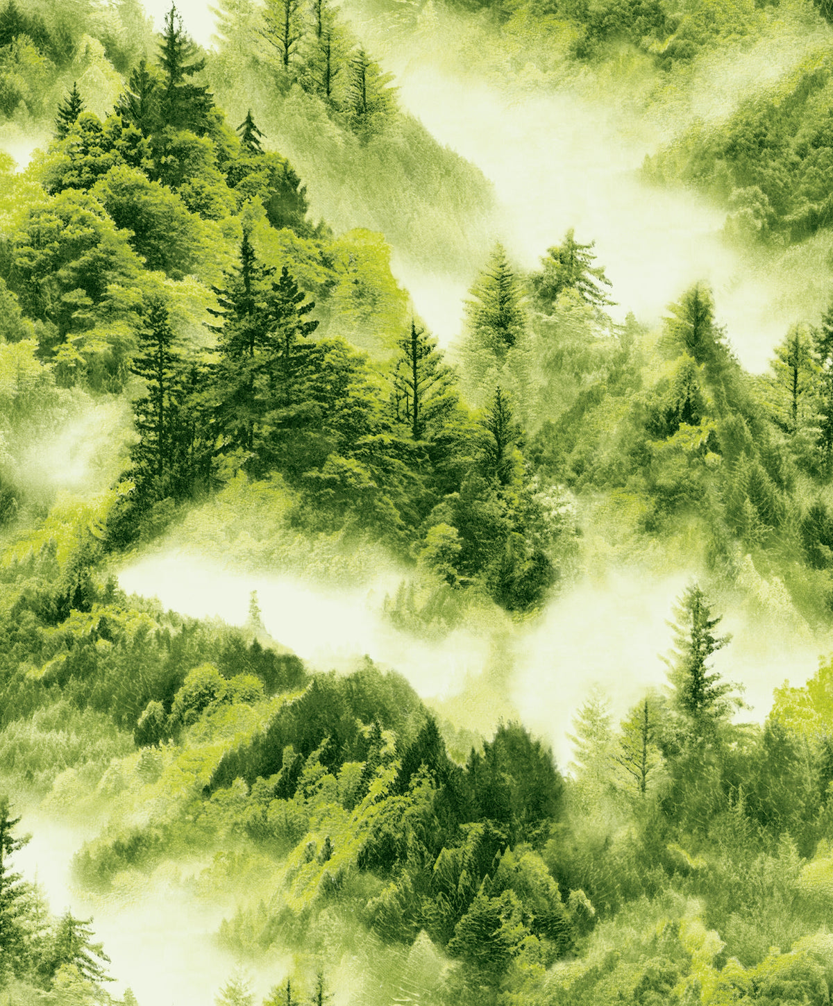 Mistwood Forest Wallpaper