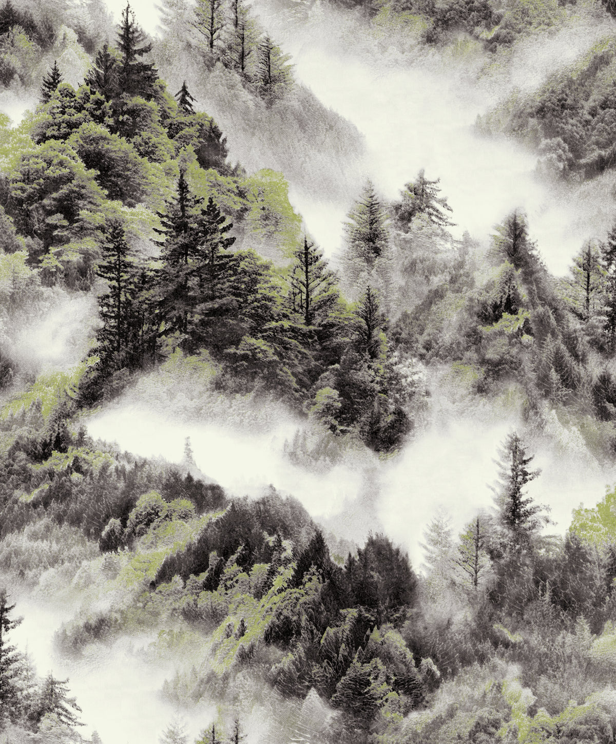 Mistwood Forest Wallpaper