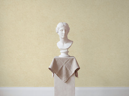 Liora Plaster Wallpaper