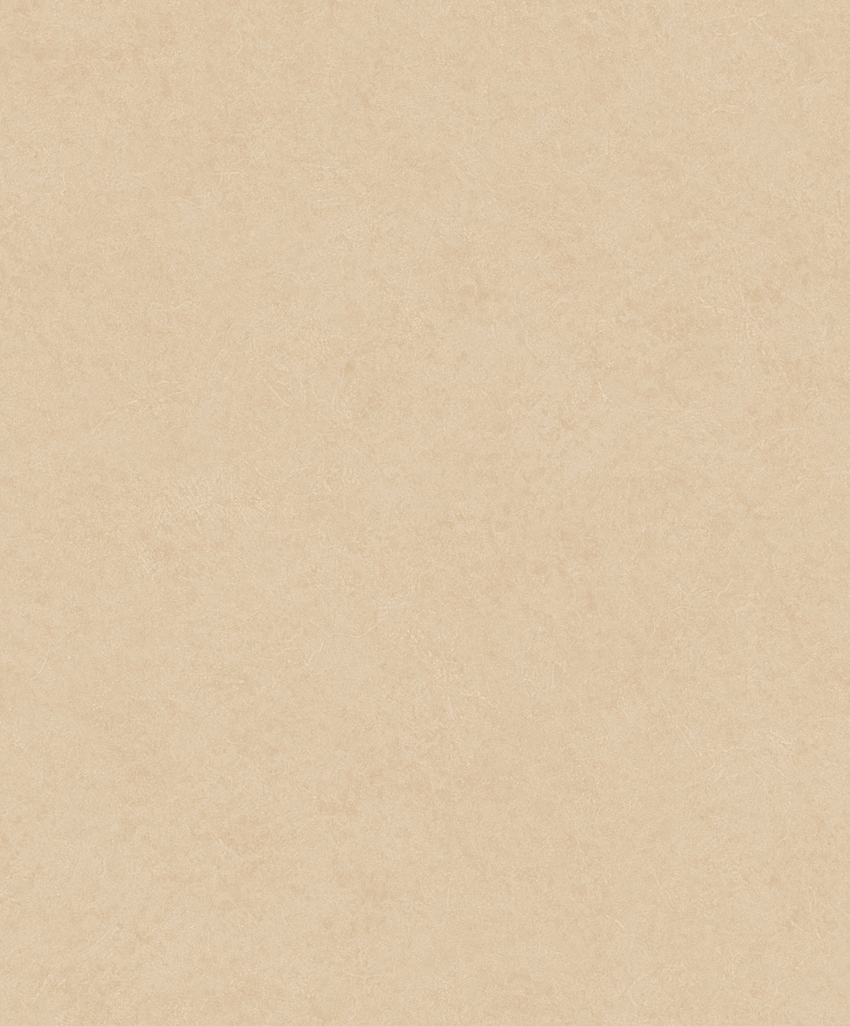 Liora Plaster Wallpaper