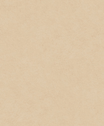 Liora Plaster Wallpaper