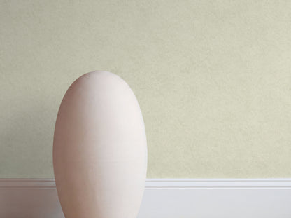 Liora Plaster Wallpaper