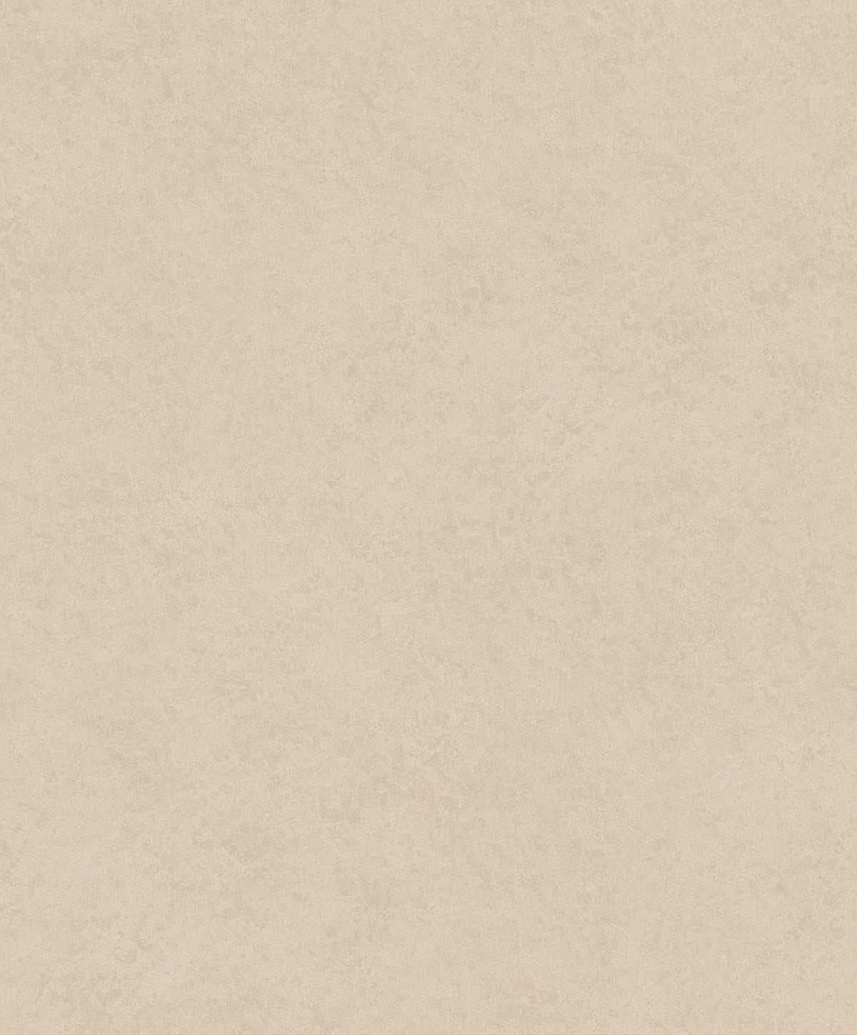 Liora Plaster Wallpaper