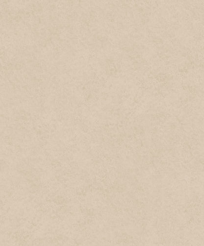 Liora Plaster Wallpaper