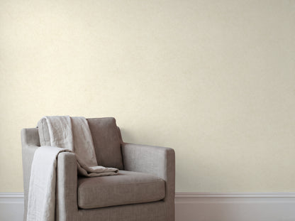 Liora Plaster Wallpaper