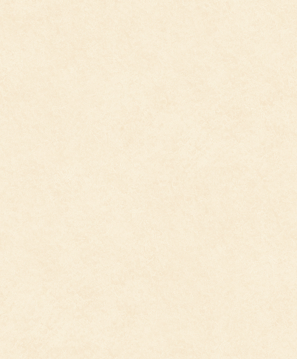 Liora Plaster Wallpaper