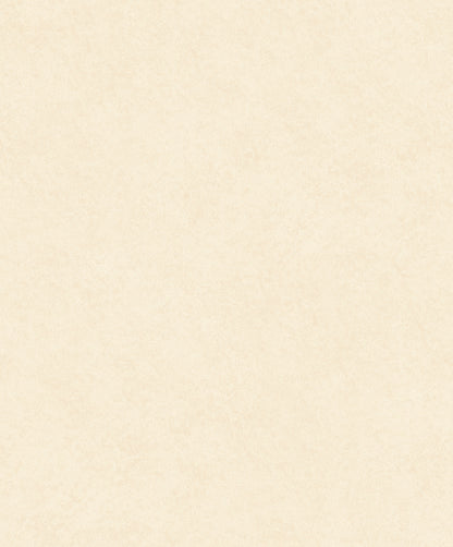 Liora Plaster Wallpaper