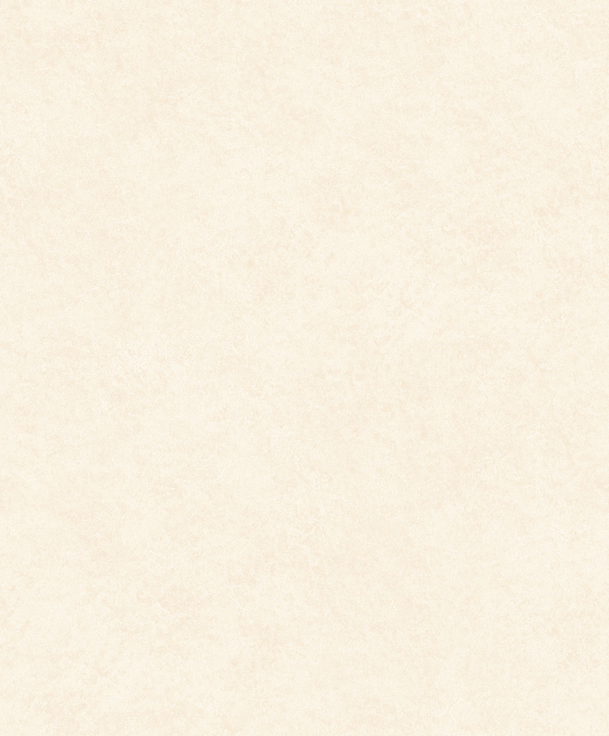 Liora Plaster Wallpaper