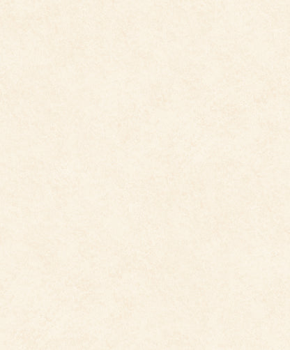 Liora Plaster Wallpaper