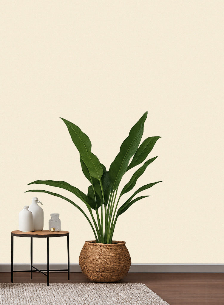 fabric texture wallpaper for office India